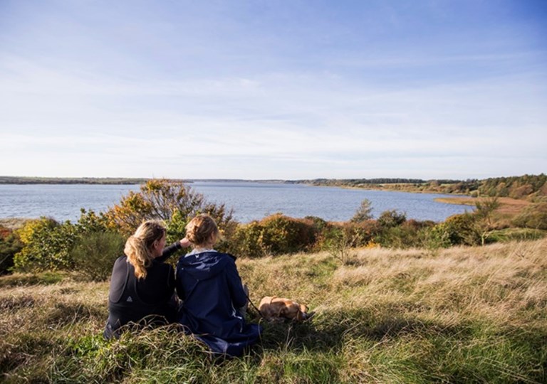 To personer sidder i græsset ved Flyndersø og nyder udsigten. Foto: Skive Kommune