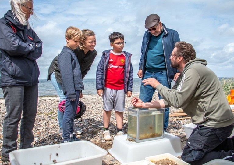 Naturvejleder Jesper Nielsen Krogh fra Skive Kommune viser børn og voksne fisk og andre dyr fra fjorden. Foto: Skive Kommune