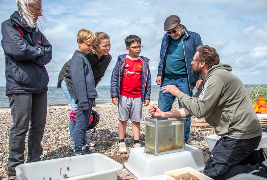Naturvejleder Jesper Nielsen Krogh fra Skive Kommune viser børn og voksne fisk og andre dyr fra fjorden. Foto: Skive Kommune